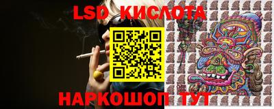 крисы Гагарин