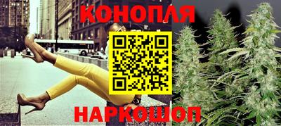 крисы Гагарин