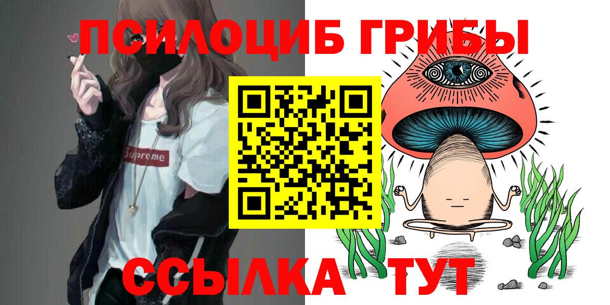 магазин    Псилоцибиновые грибы мицелий  Вход с VPN  Каменск-Шахтинский 